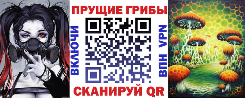 Псилоцибиновые грибы MAGIC MUSHROOMS  Новосиль 